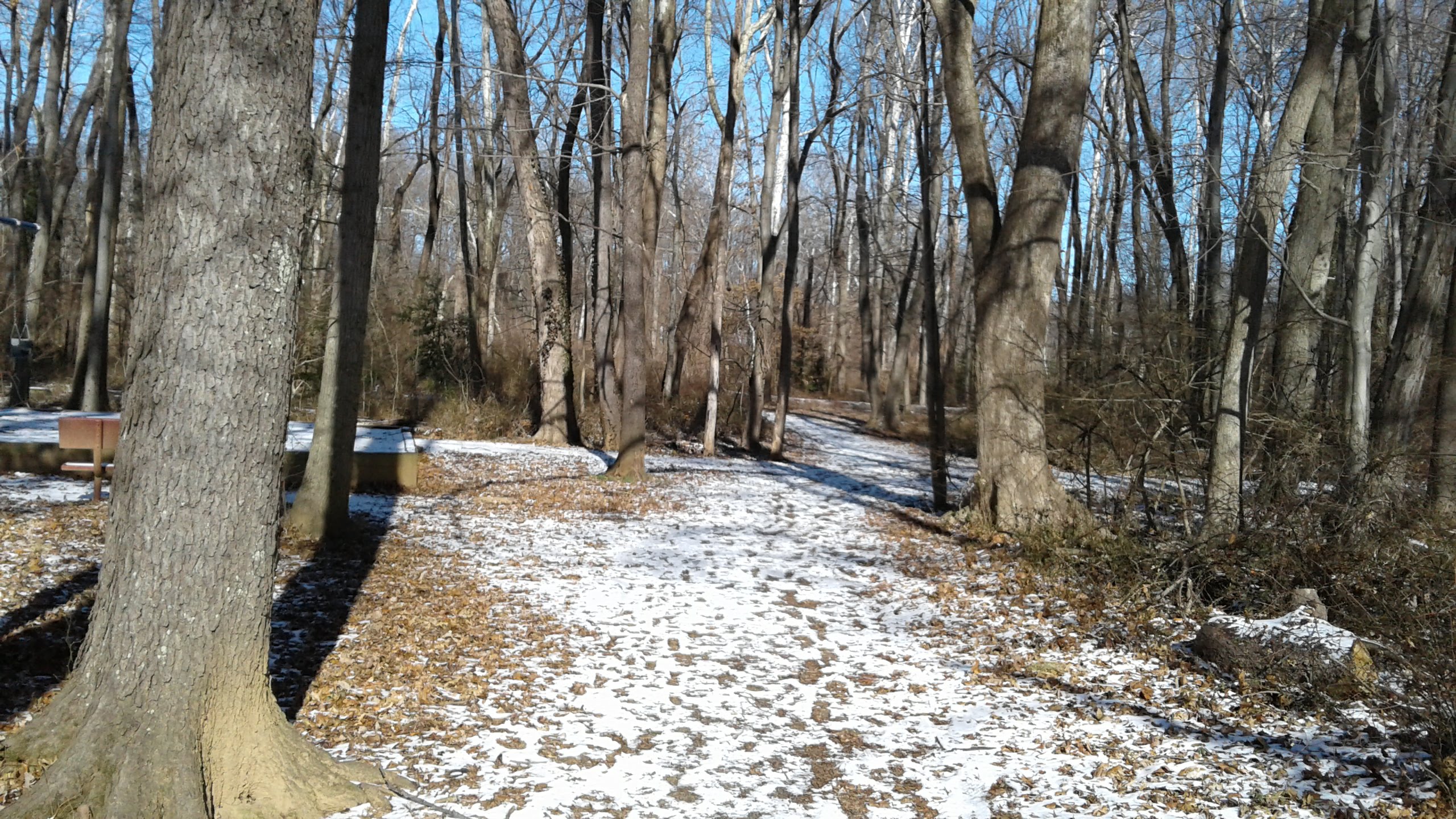 VA Kent Gardens Park [4812] PRA Nature Prescribed