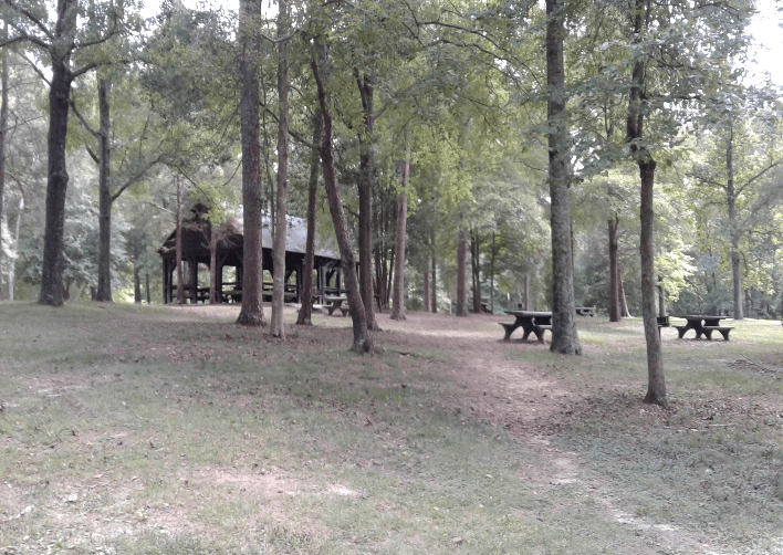 VA Prince William Forest Park Visitor Center [3596] PRA Nature