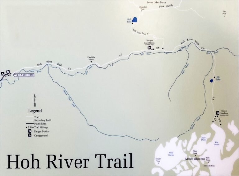 5 Best Hoh Rainforest Hikes
