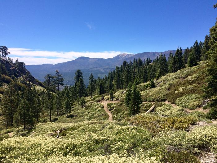 Top 30 Hiking Trails in Big Bear, CA From Easy to Difficult PARKS etc.