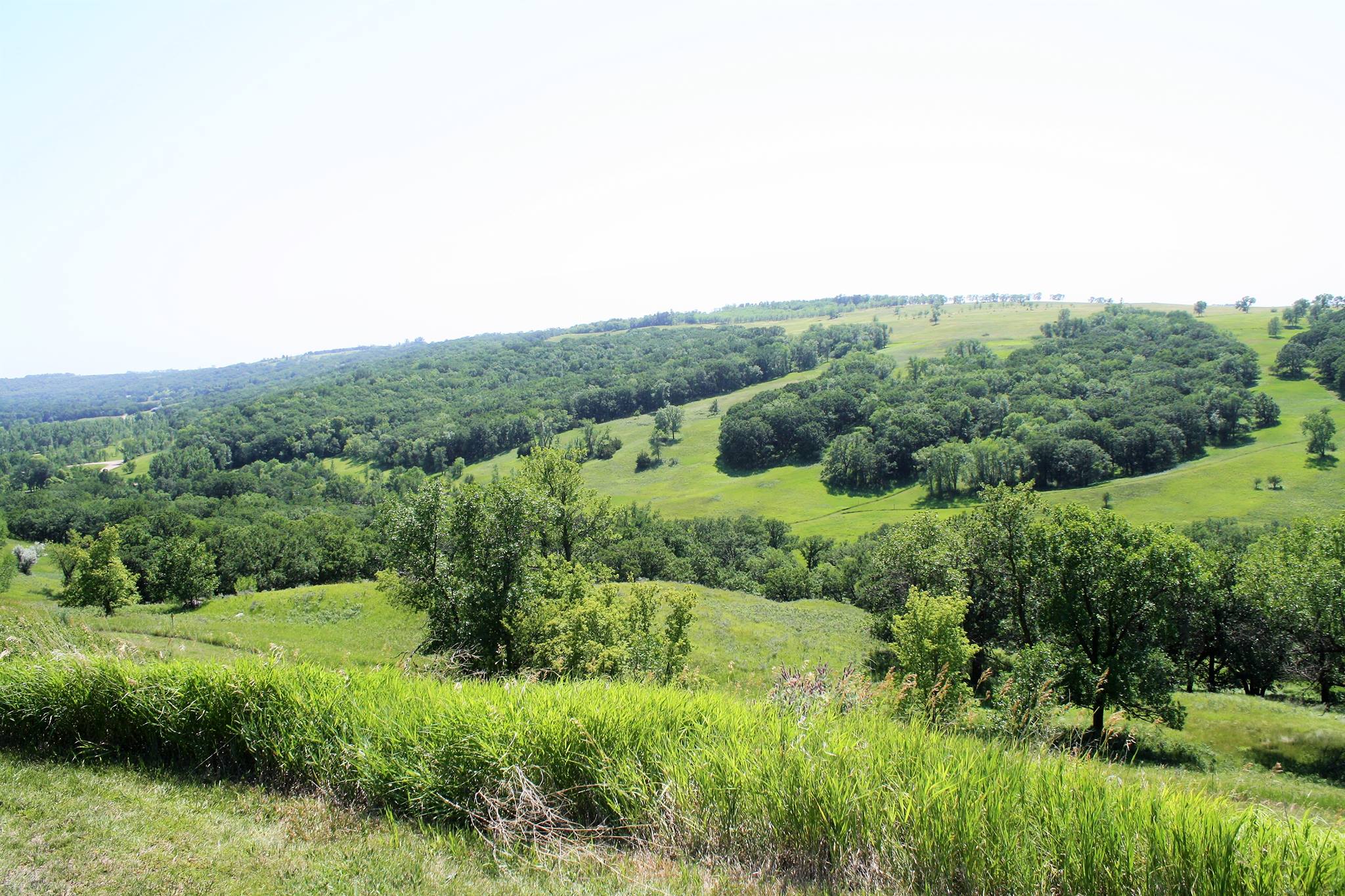 Fort Ransom State Park Parks Guidance