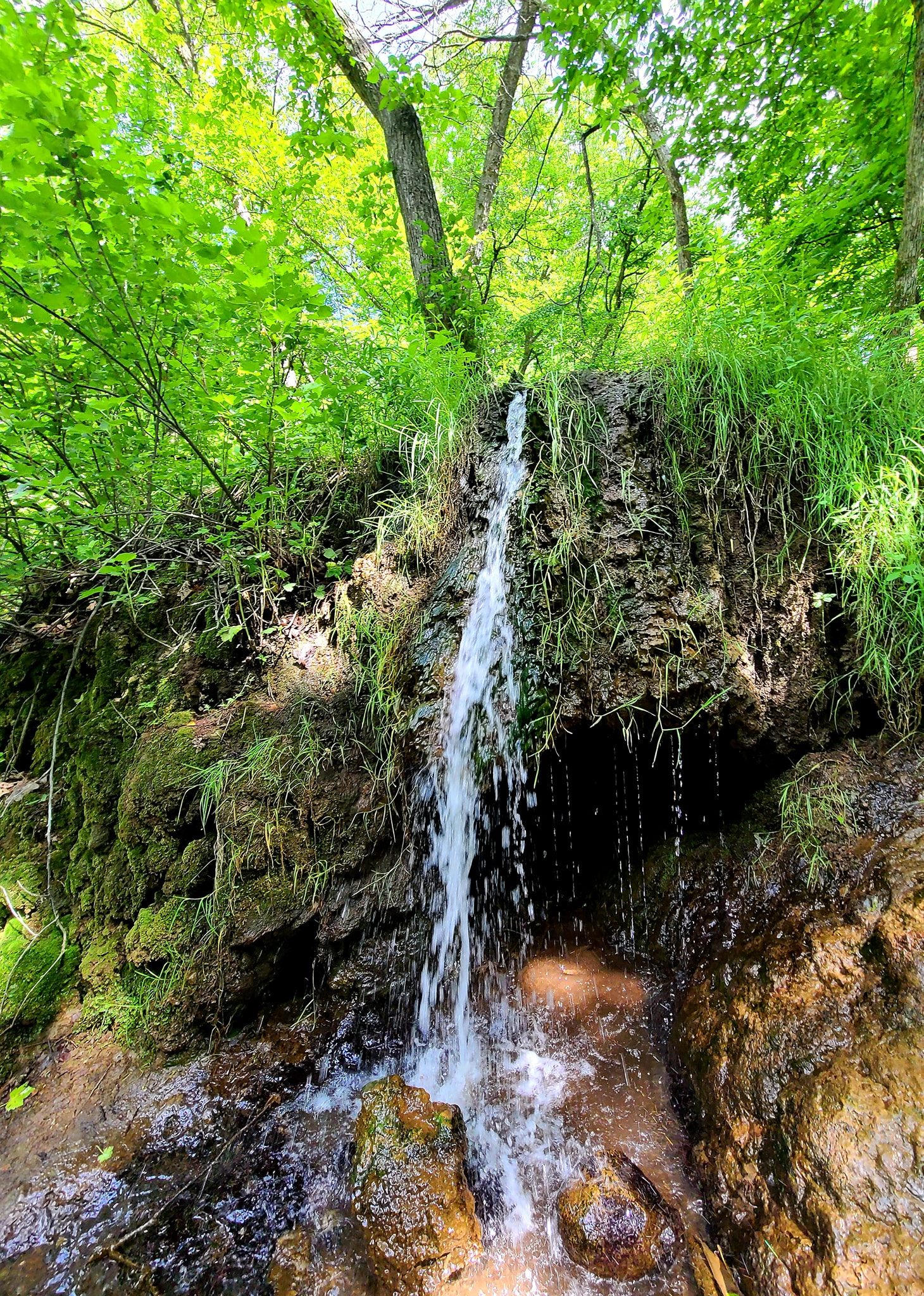 Fort Ransom State Park Parks Guidance