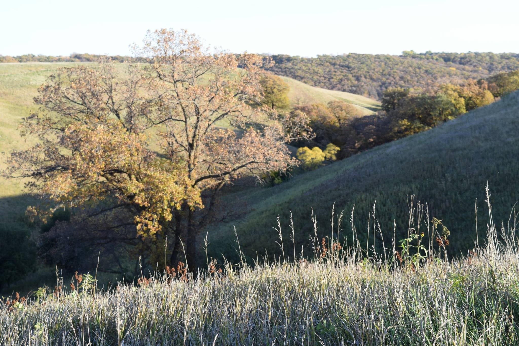 Fort Ransom State Park Parks Guidance