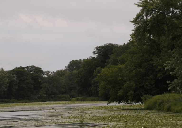 Wyth State Park Parks Guidance