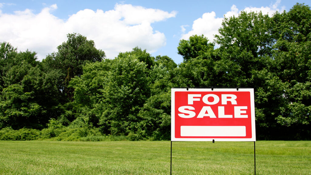 Tips for Buying Land in Mississippi Parks House DC