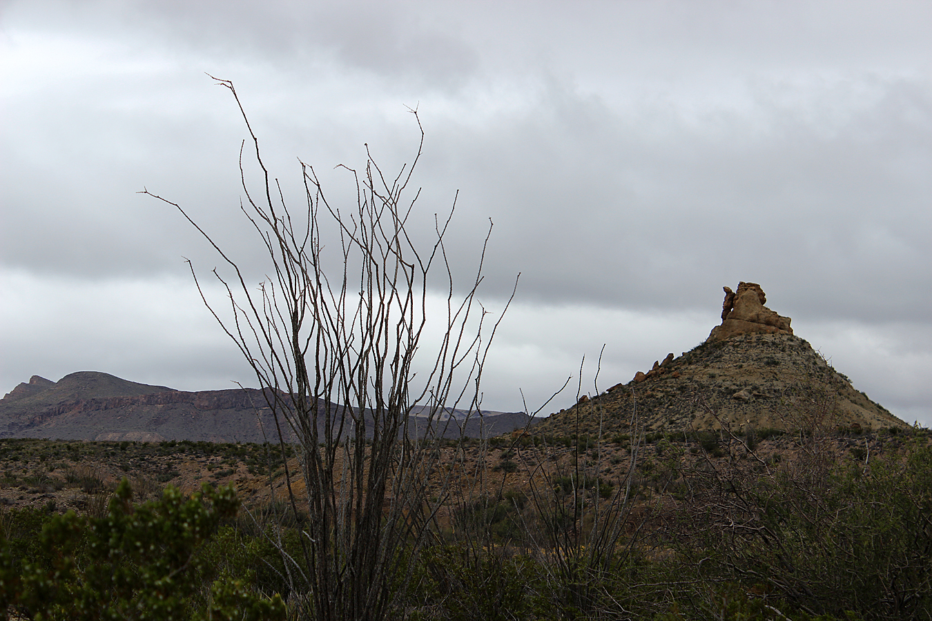 Big Bend National Park The Moody Desert As They Are Exploring the National Parks