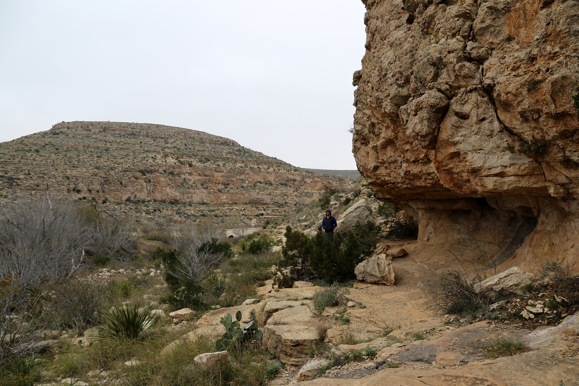 Carlsbad Caverns National Park Walnut Canyon Desert Drive As They