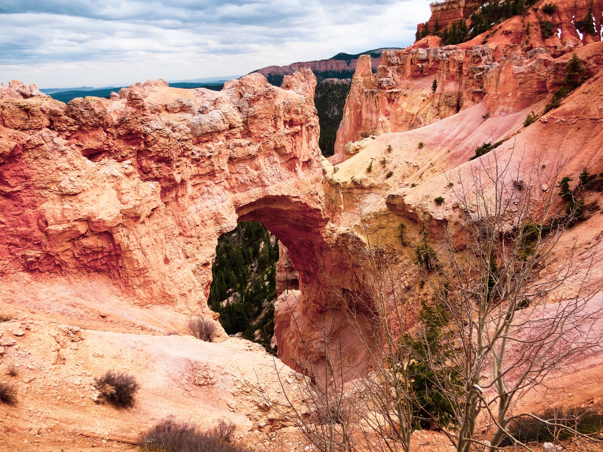 Rainbow Point Shuttle Tour A Lovely Way to See Bryce Canyon in One Day