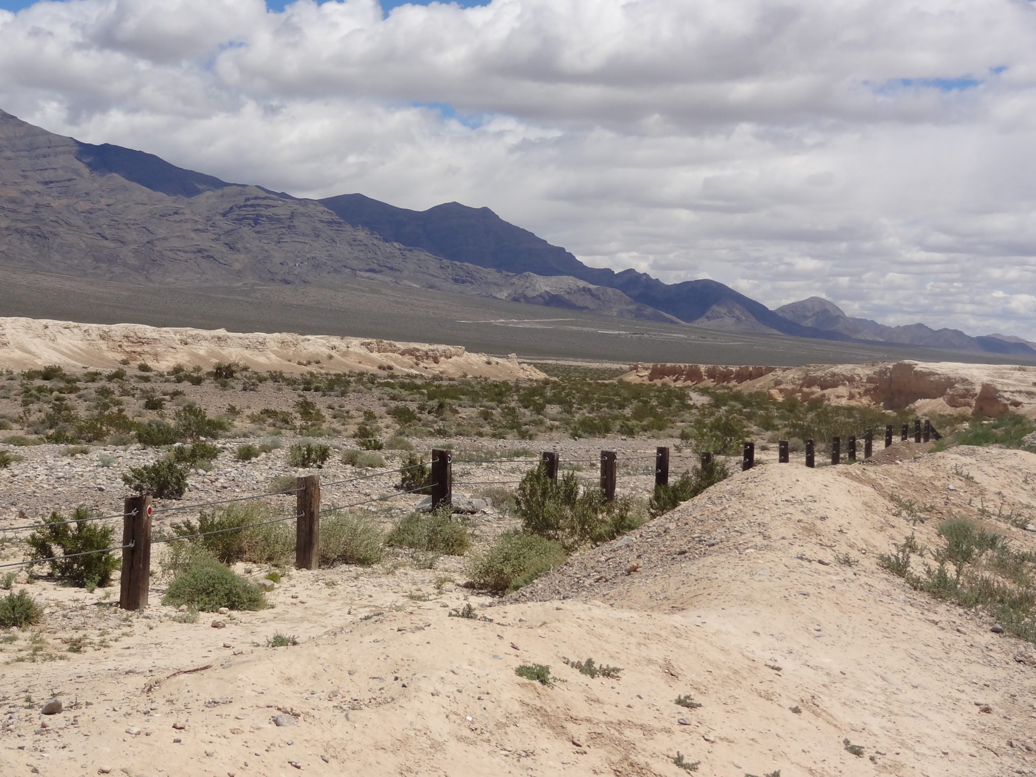 National Parks in Nevada Best Experiences and Things To Do Park Trips (and More)