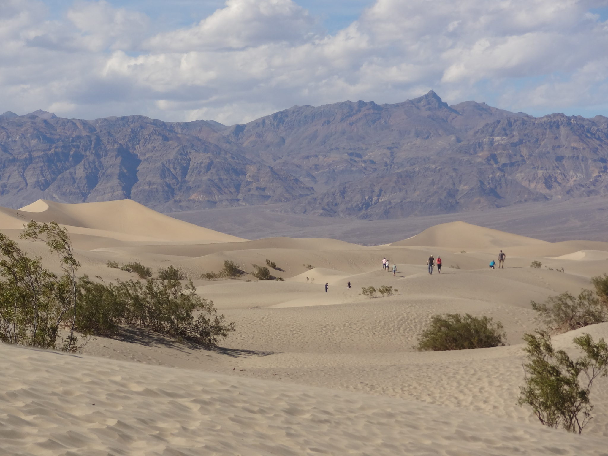 National Parks in Nevada Best Experiences and Things To Do Park