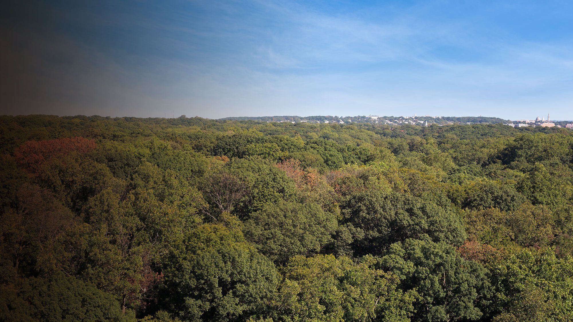 Park Van Ness Apartments 4455 Connecticut Ave NW Washington, DC