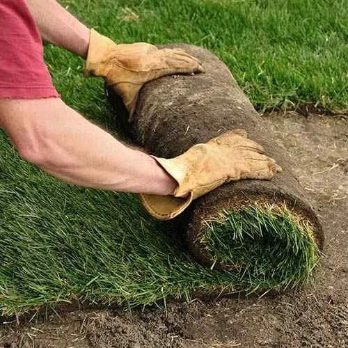 Parkway Sod and Sprinkler Sod Supplier Tea, South Dakota