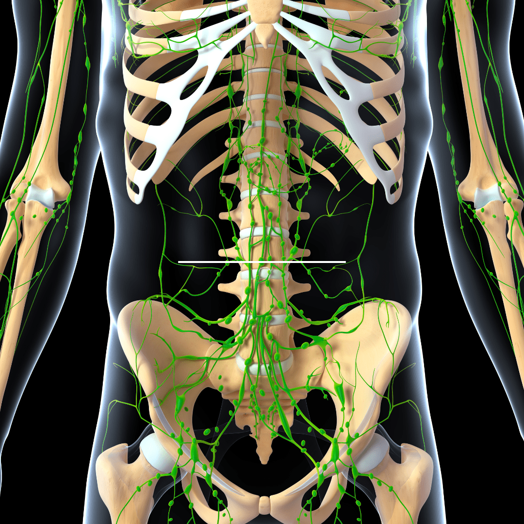 Services Parmele Post Rehab Exercise and Massage