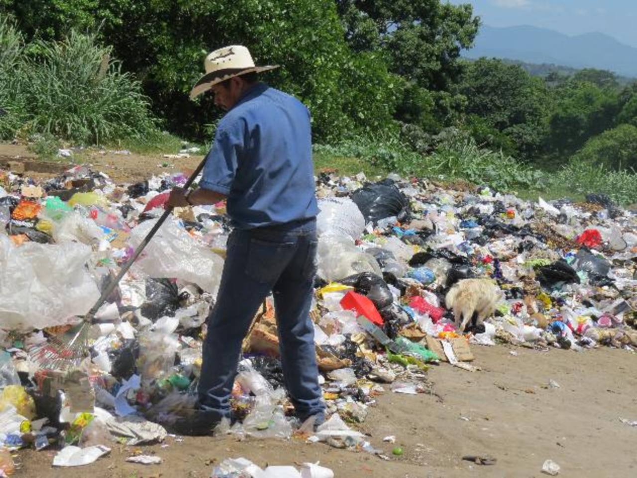 Consejos para solucionar problemas ambientales Parques Alegres I.A.P.