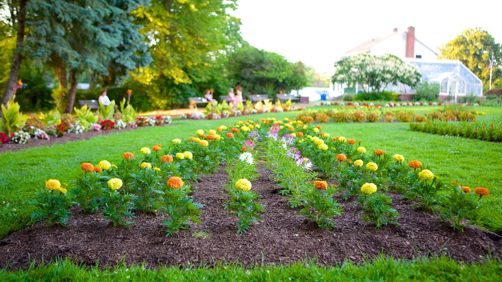 Plantar flores en tu parque excelente actividad Parques Alegres I.A.P.