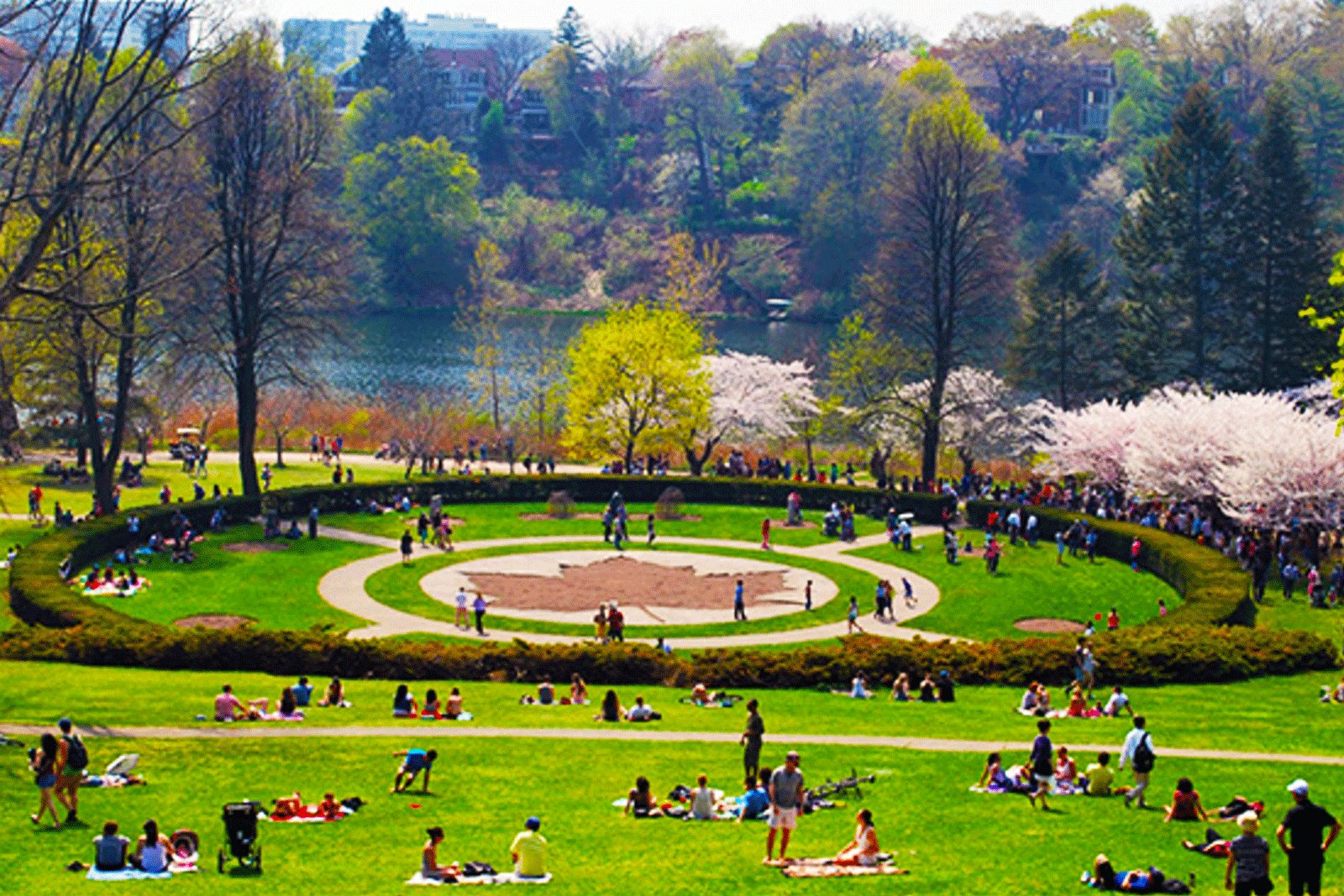 Conoce el High Park en Toronto Parques Alegres I.A.P.