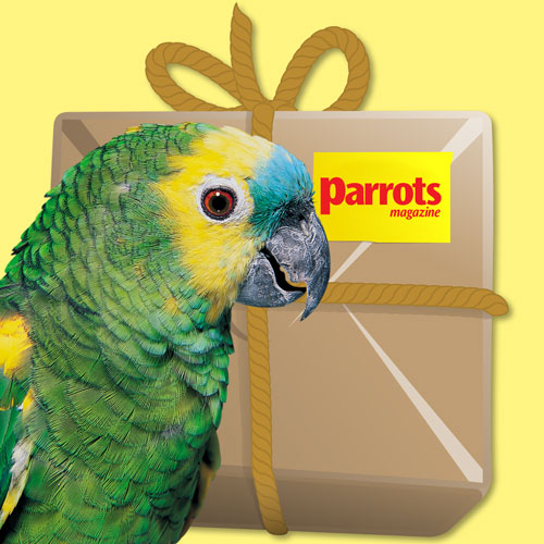 Amazon Magazine Bundle