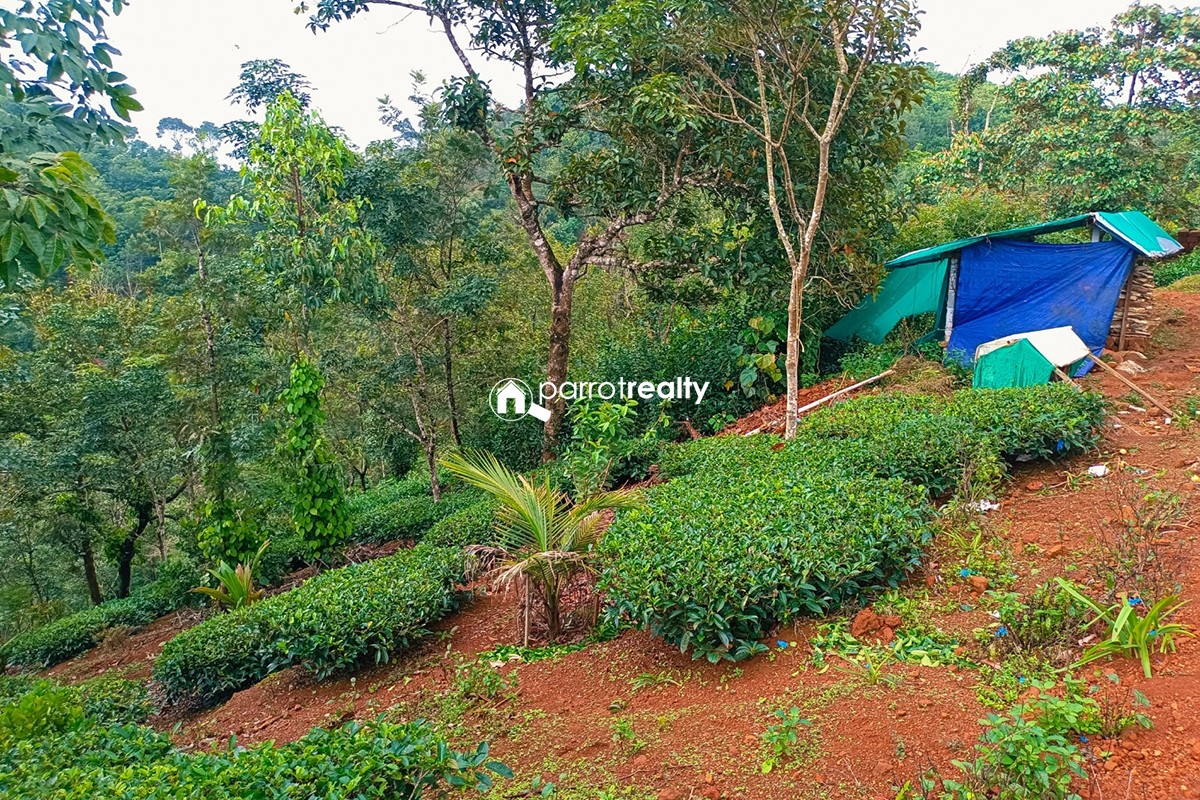 Running licensed home stay for sale near Venmani,Wayanad...