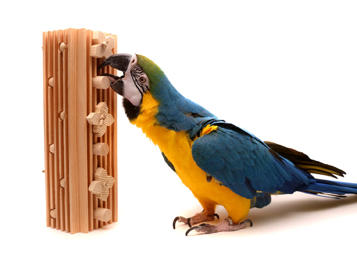 Parrot Wizard Woodland Parrot Activity Block for Large Parrots