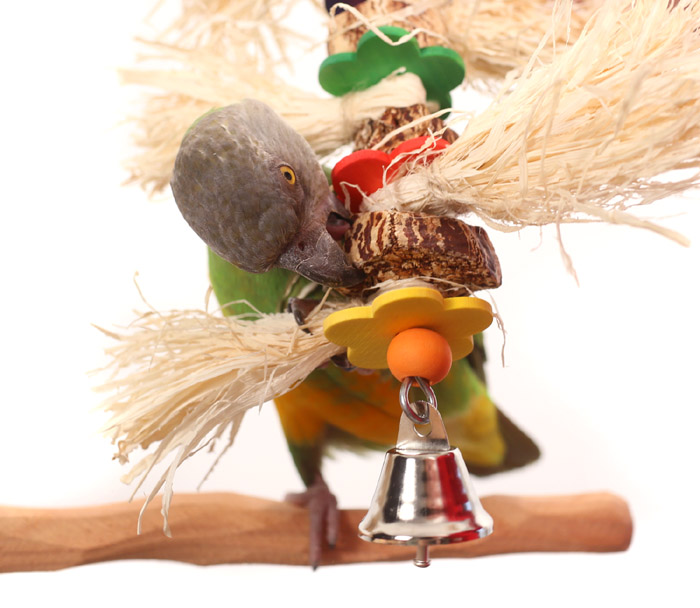 Parrot Wizard Samoa Small Parrot Toy