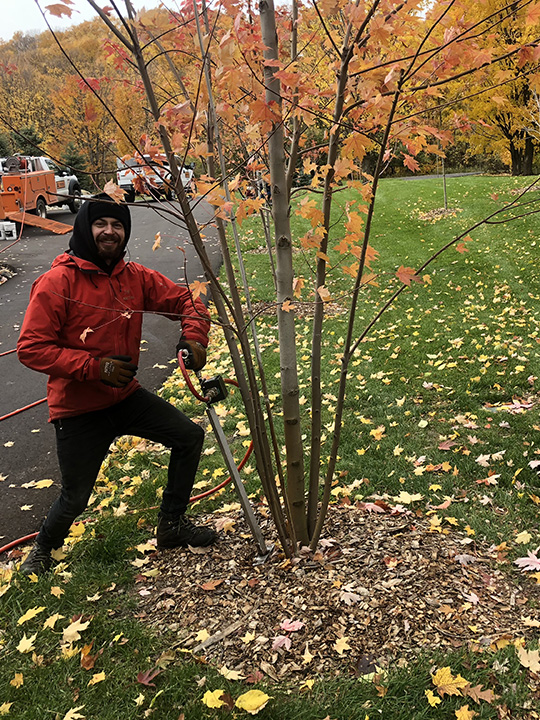 TREE HEALTH CARE SERVICES Parshall Tree Care