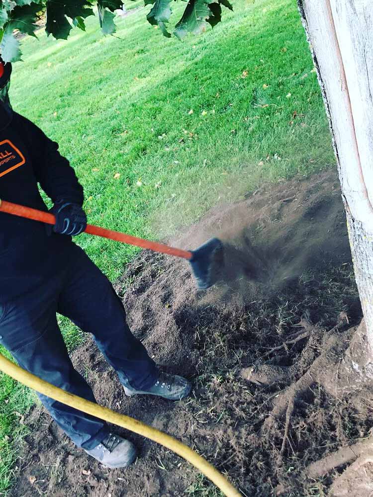 TREE HEALTH CARE SERVICES Parshall Tree Care