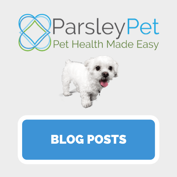 3 Easy Ways to Add Potassium to Your Dog's Diet ParsleyPet Wellness