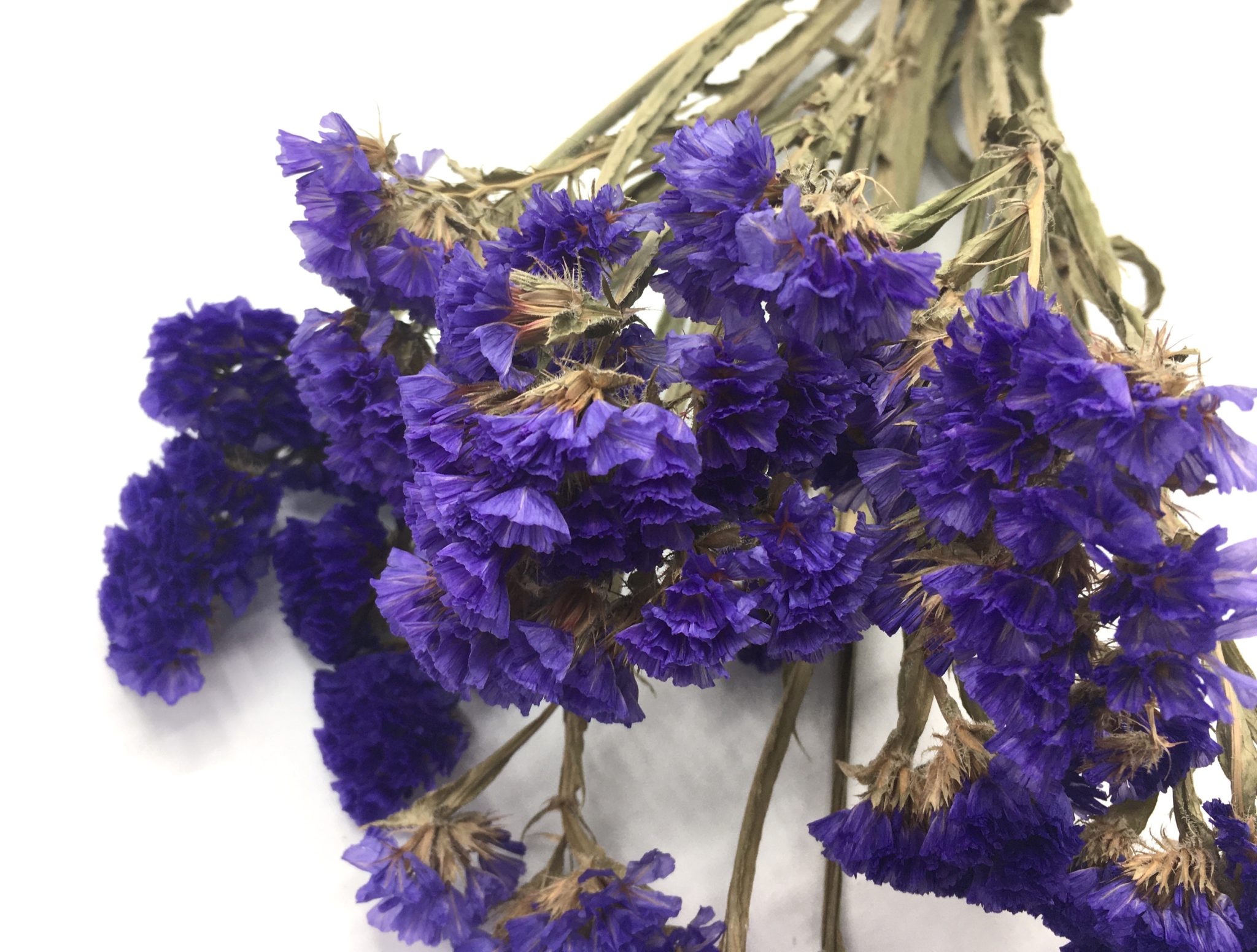 Purple Statice Dried Flowers The Parsons Wreath Company