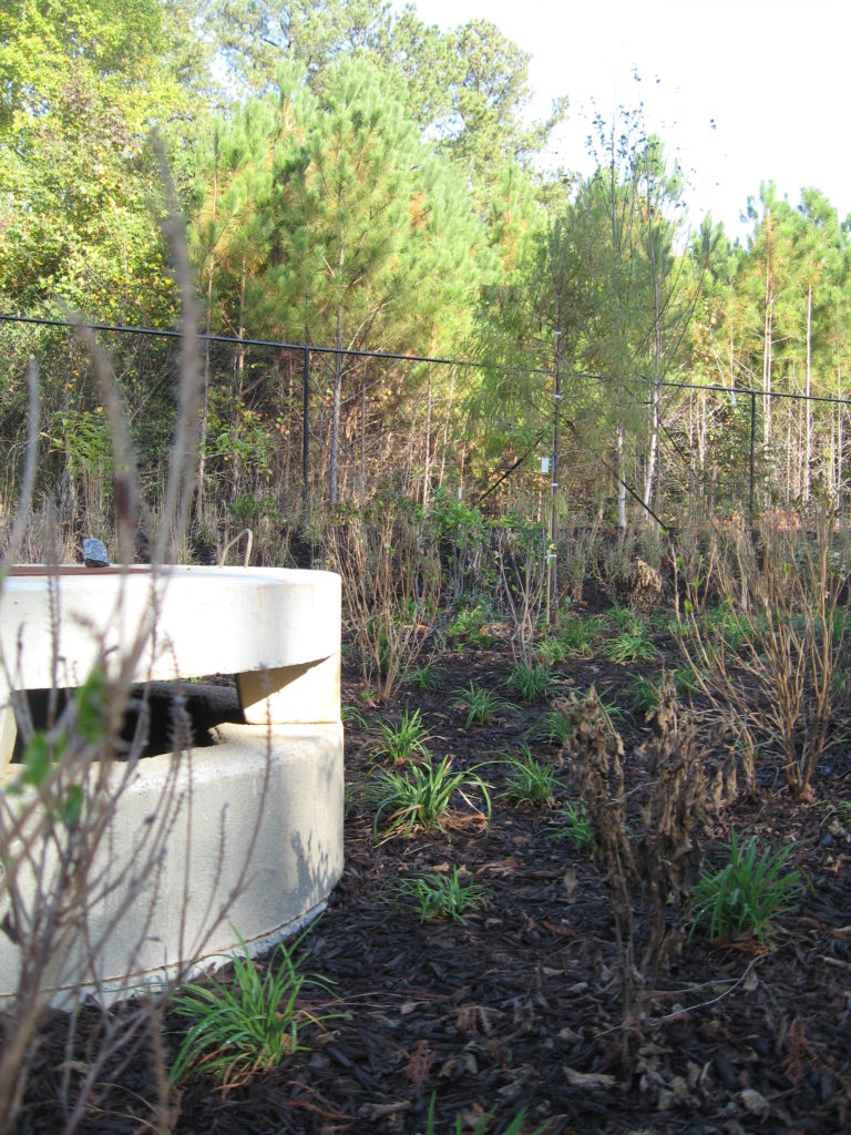 Bio retention area best management practice — Partain Engineering, LLC