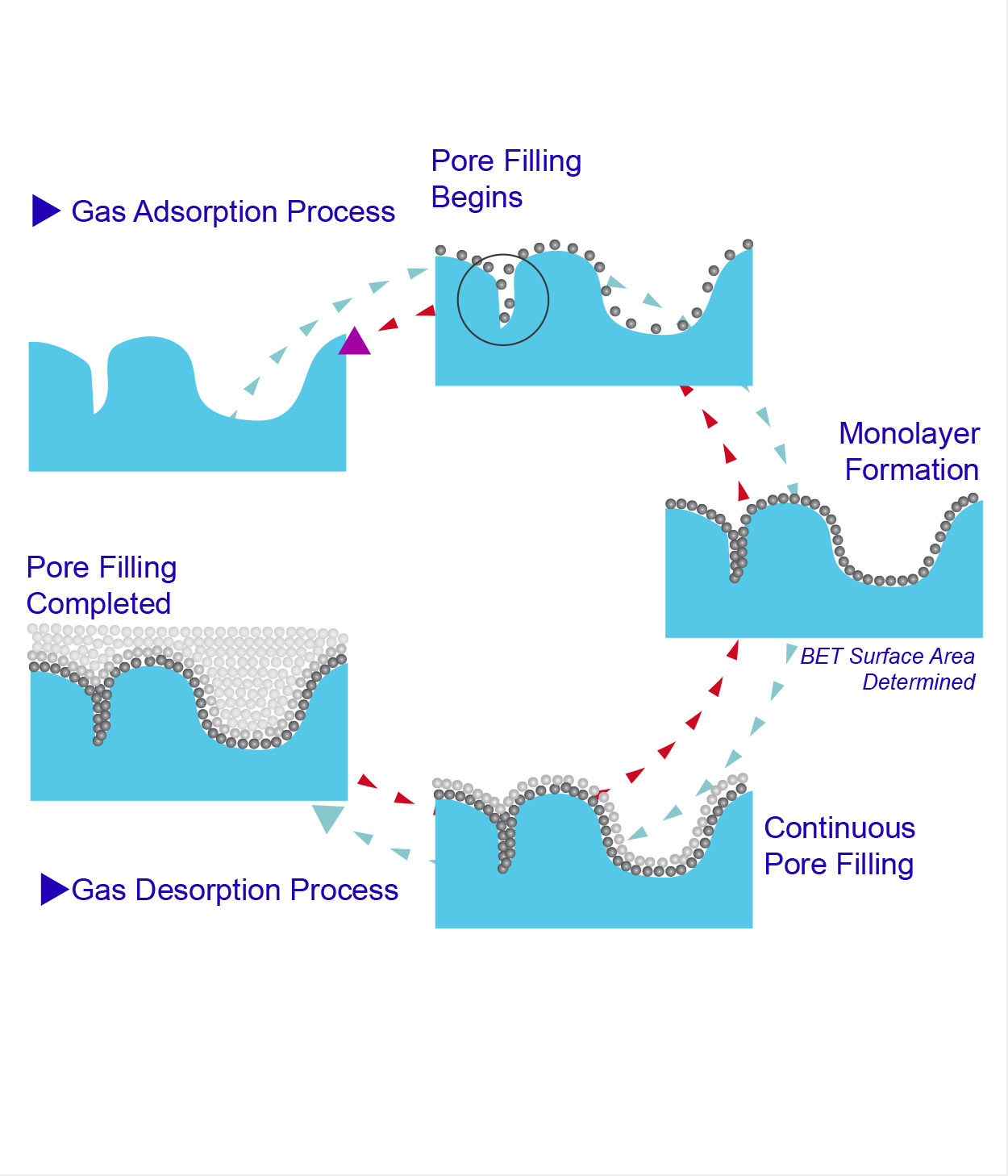 BET Specific Surface Area Testing - Particle Technology Labs