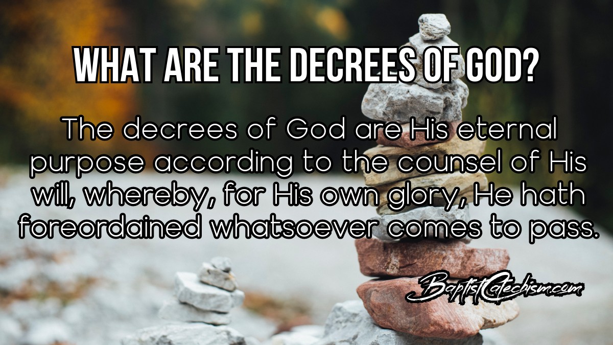 What are the Decrees of God? (Part 3) The Baptist Catechism