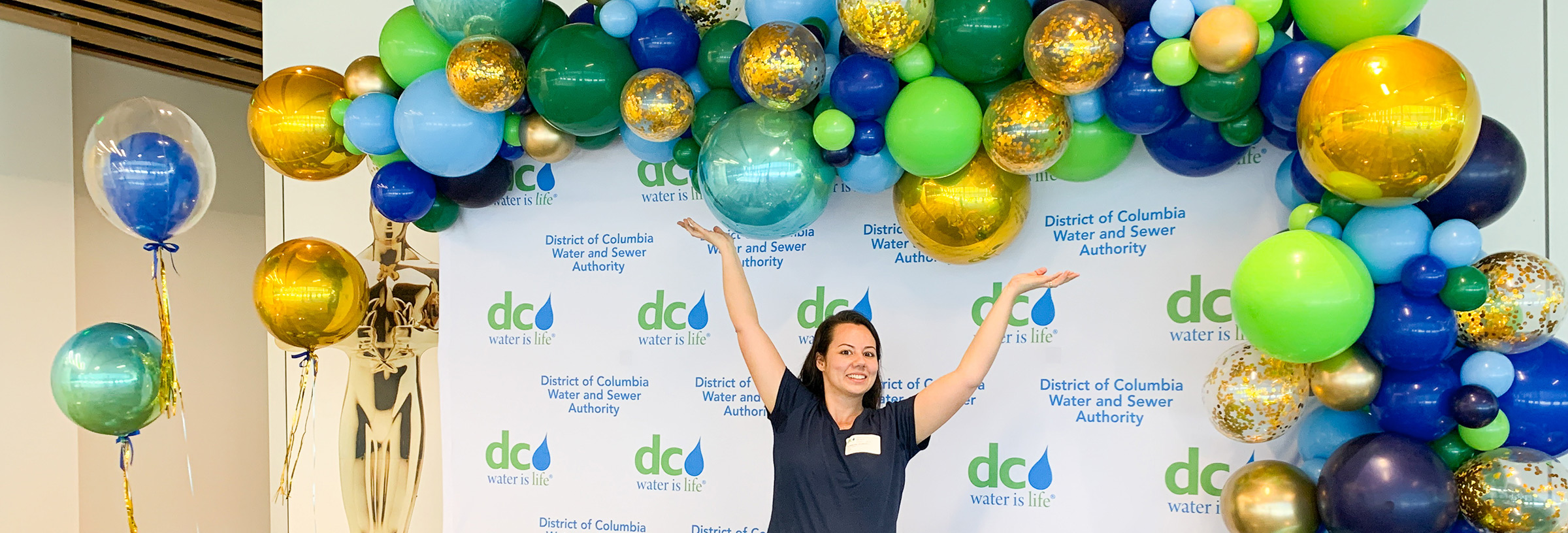 Balloon Decorations & Delivery in Washington DC Partistry Events