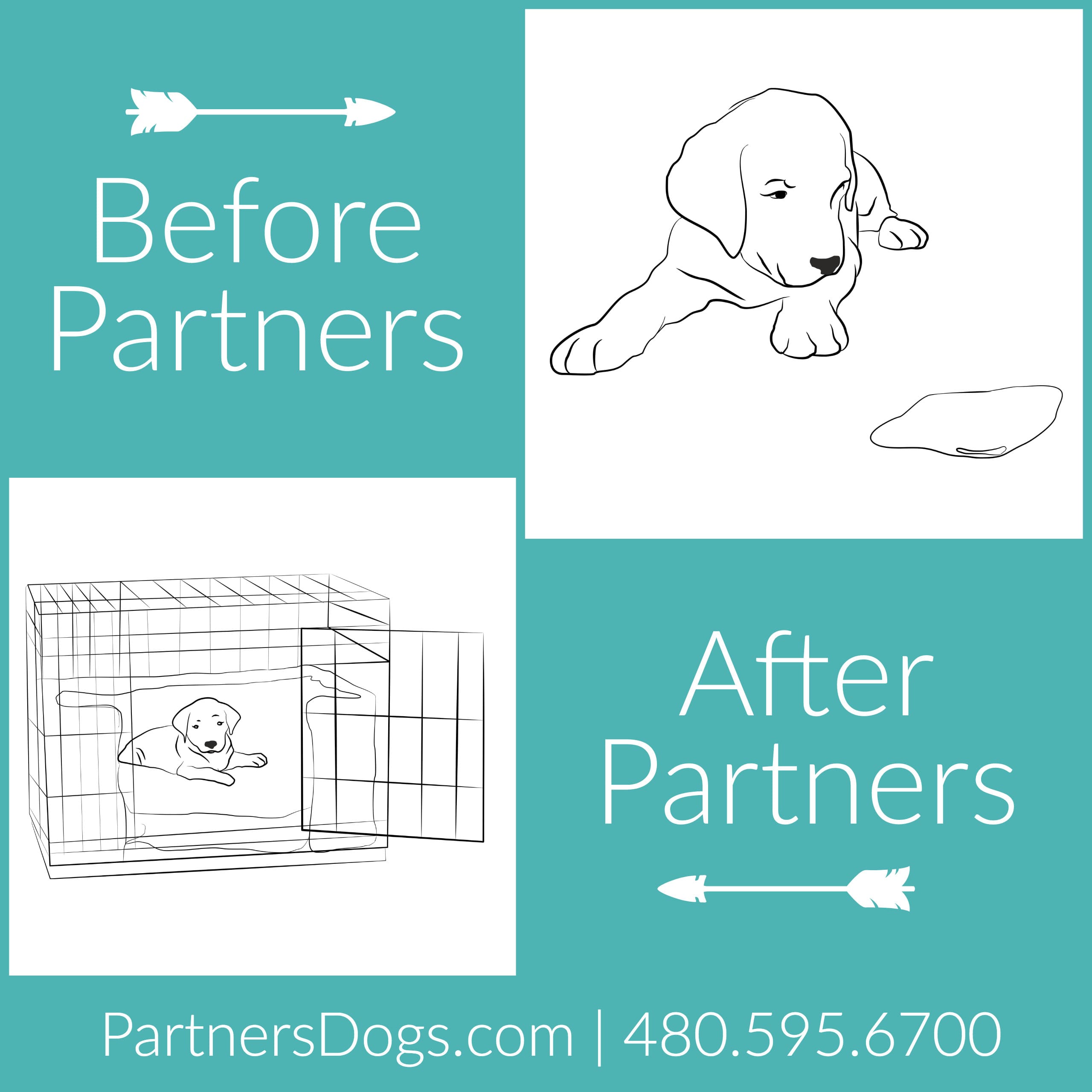 Housebreaking Potty Training Partners Dog Training