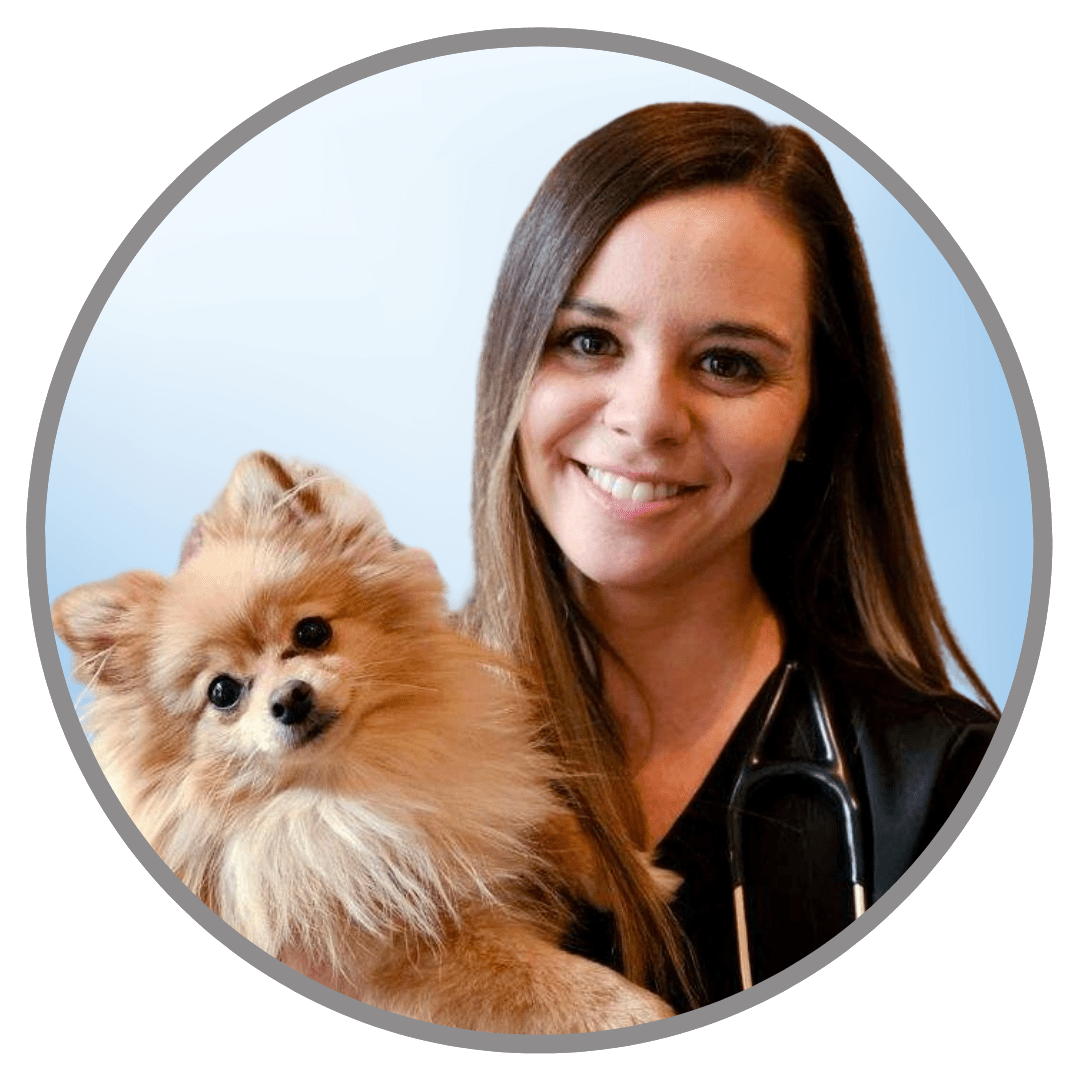 Emergency RVA Vet Services Partner Veterinary