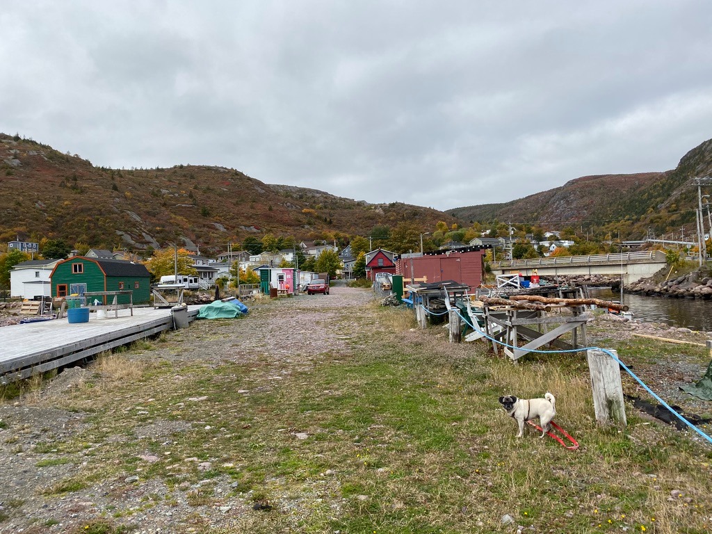 Newfoundland Day 4, Petty Harbour Maddox Cove Parts Unknown Pugs