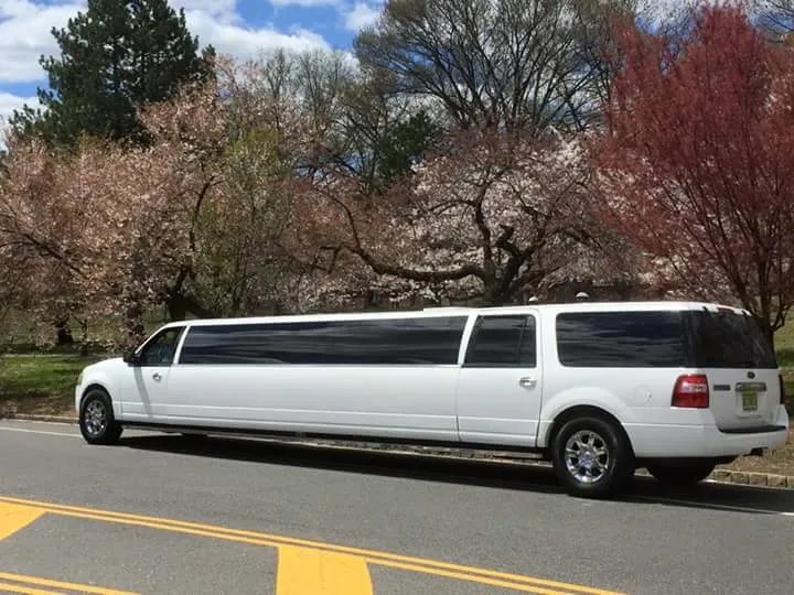 Party Bus Rentals NJ Caldwell NJ 9737222111 NJ Party Bus Near Me