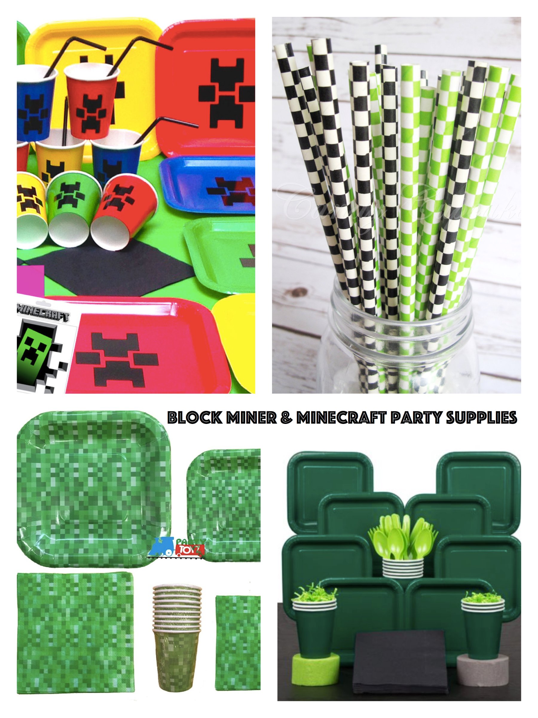 Block Miner & Minecraft Party Planning, Ideas & Supplies Birthday