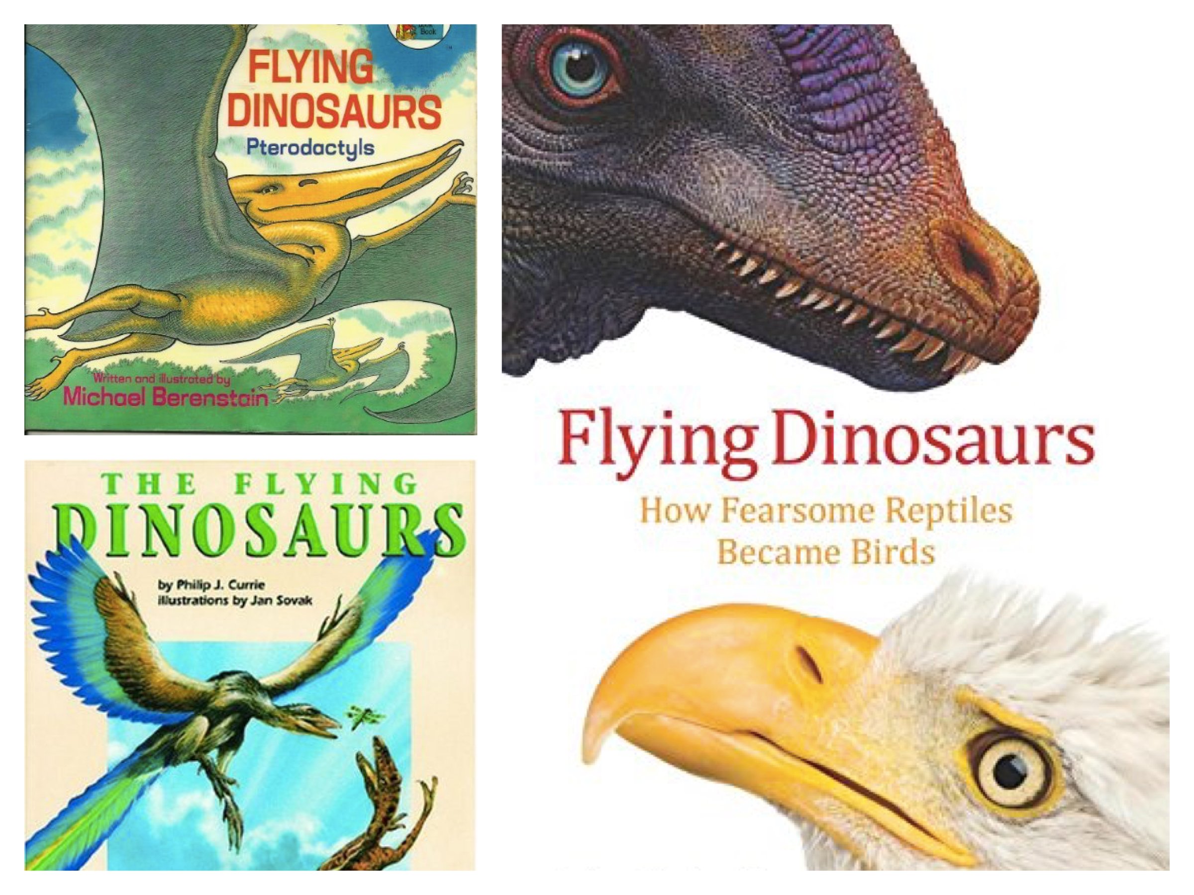 Jurassic World Dinosaur Party Planning Ideas & Supplies