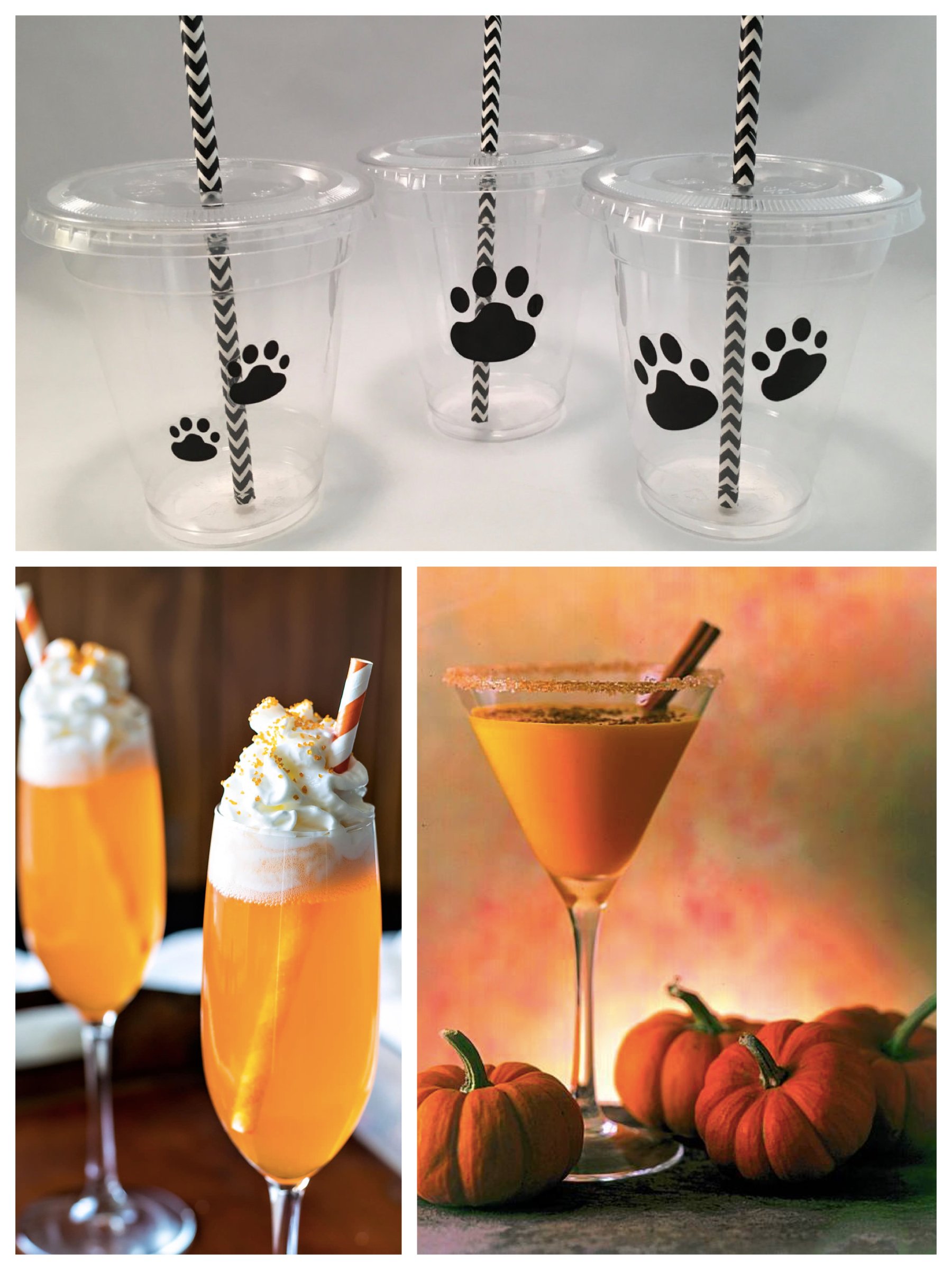 Bring Your Pup HowlOWeen Party Ideas Dog Halloween