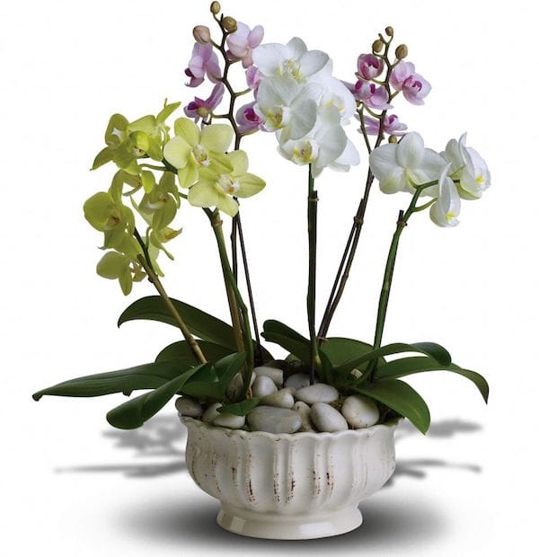 12 Housewarming Party Gifts with Special Meaning