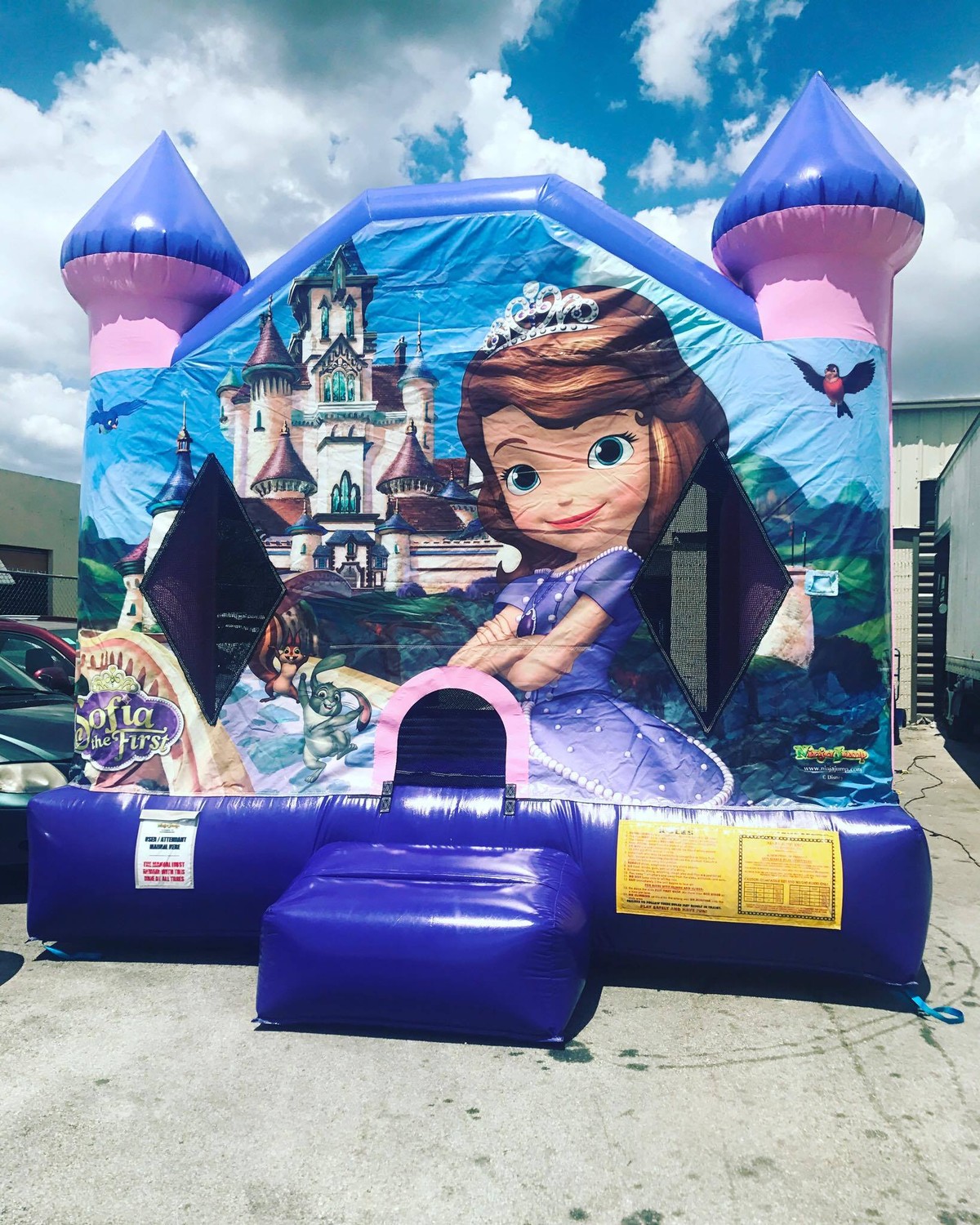 Cheap Bounce House Rentals Perfect for a Home Birthday Party