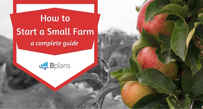 How to Start a Farm, Your Complete Guide to Success Bplans
