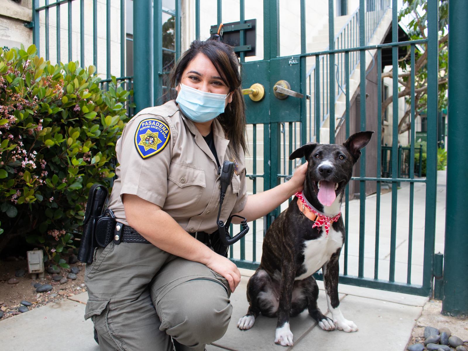 Animal Control Pasadena Humane