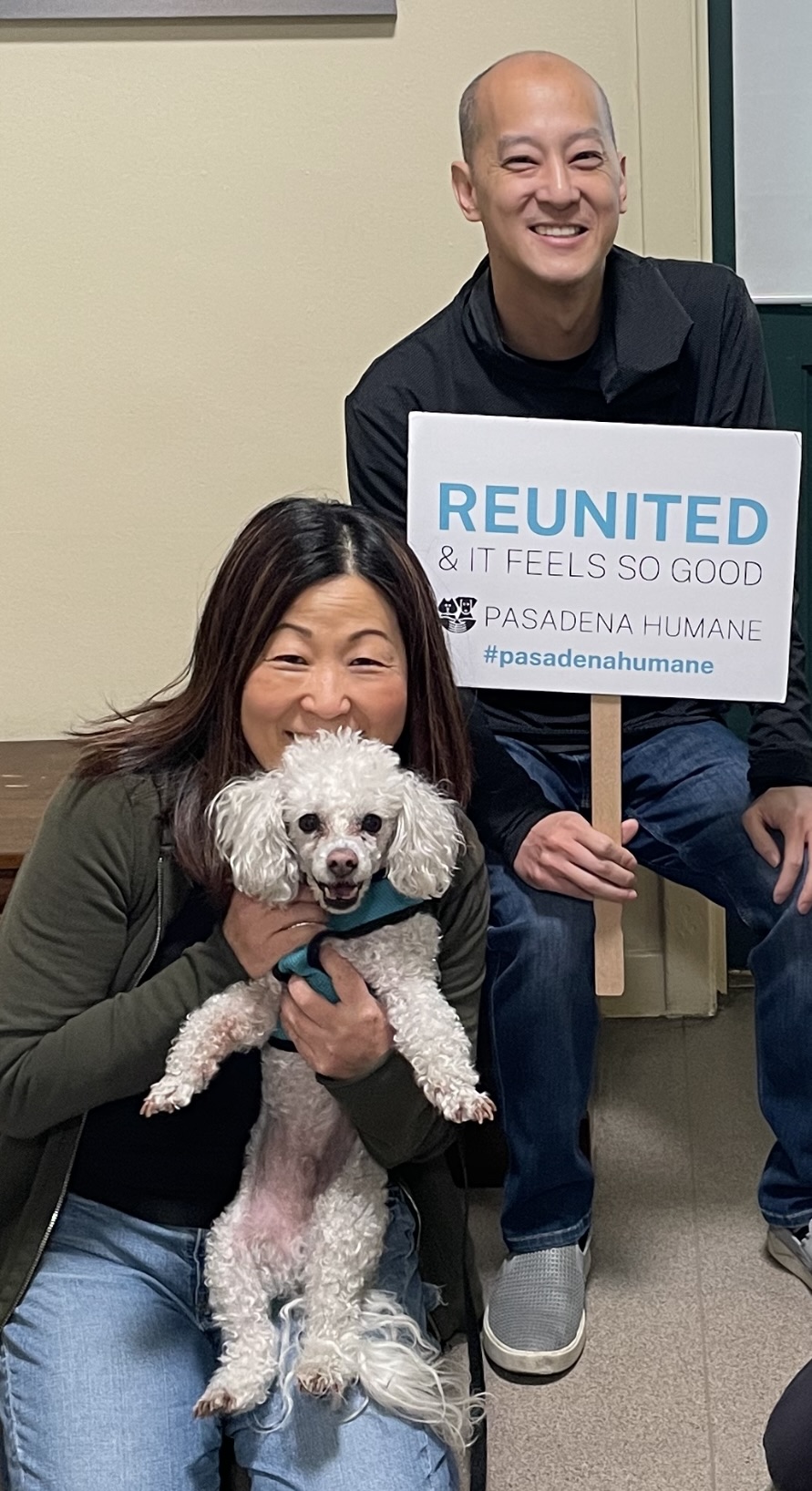 Our Sleuths Help Reunite Lost Dog Pasadena Humane