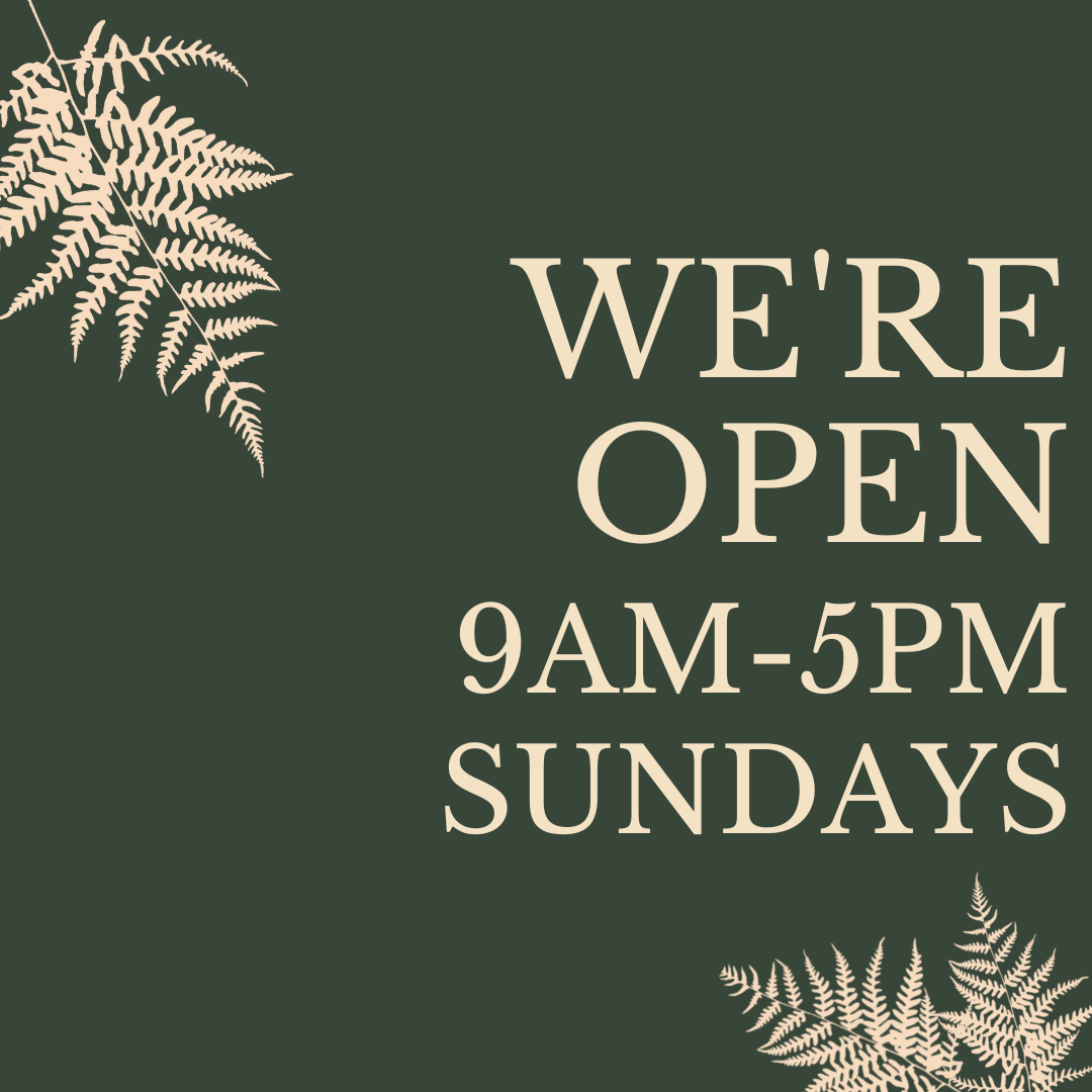 We’re OPEN from 9am Sundays Pasadena Shopping The Idyllic Place