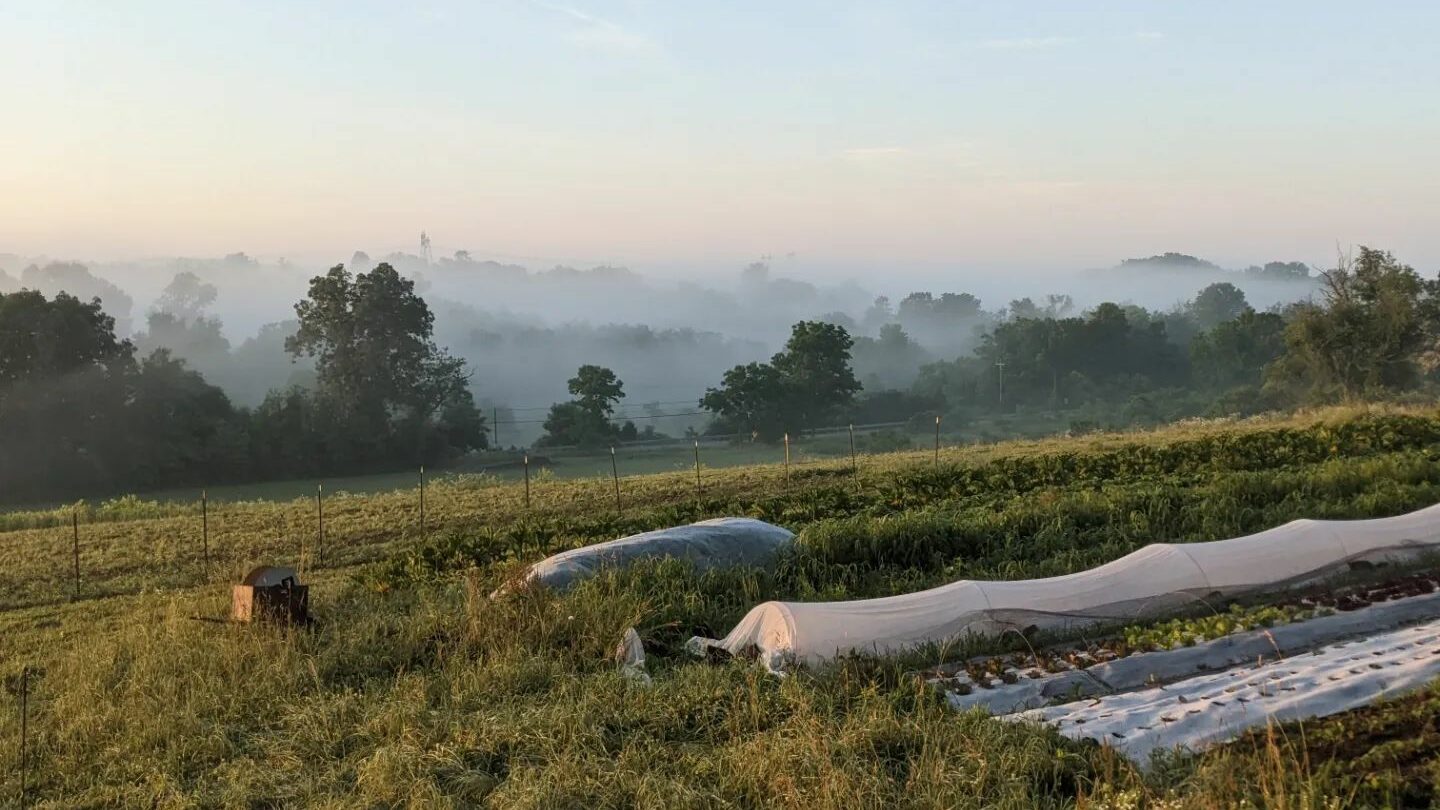 Current Events 2023 For Ag Take action Add your voice to the 2023 Farm Bill conversation Pasa