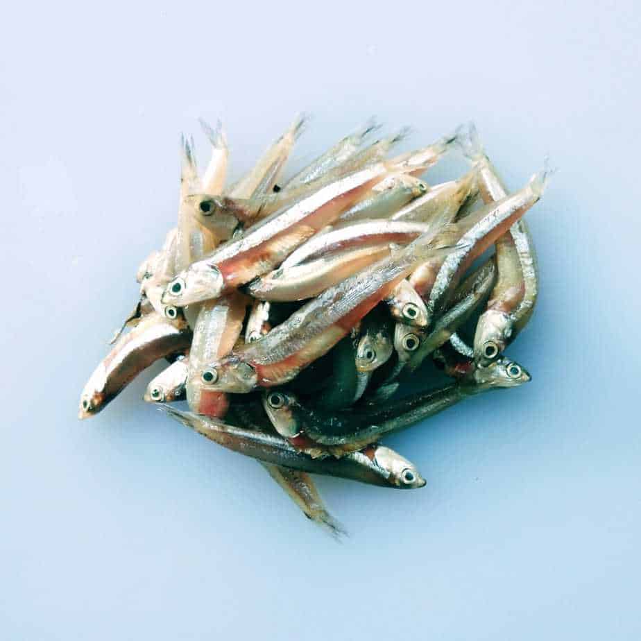 Ikan teri basah 1kg Pasar Segar