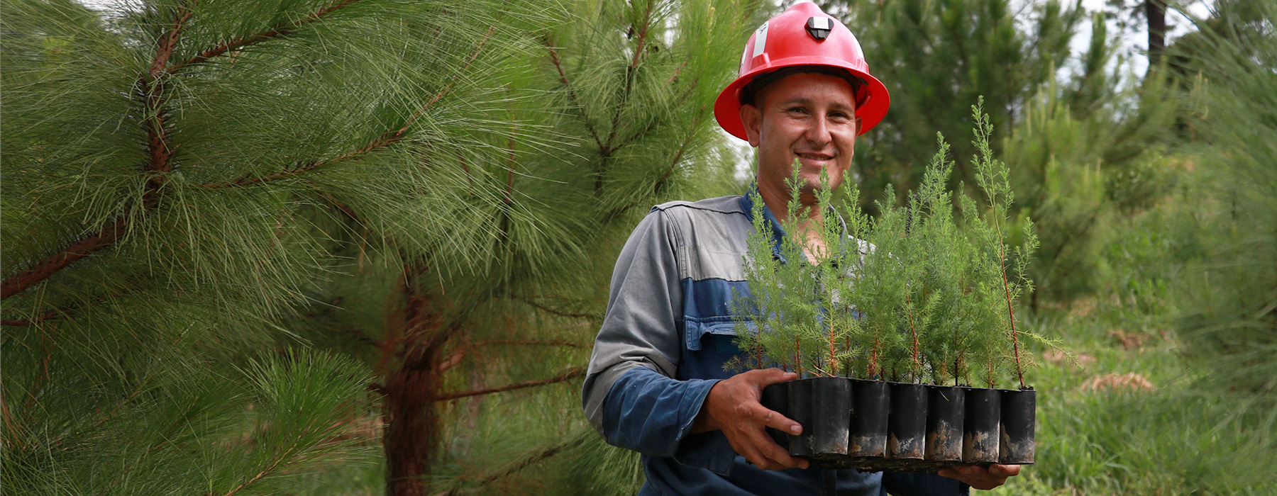 Somos Pan American Silver Guatemala