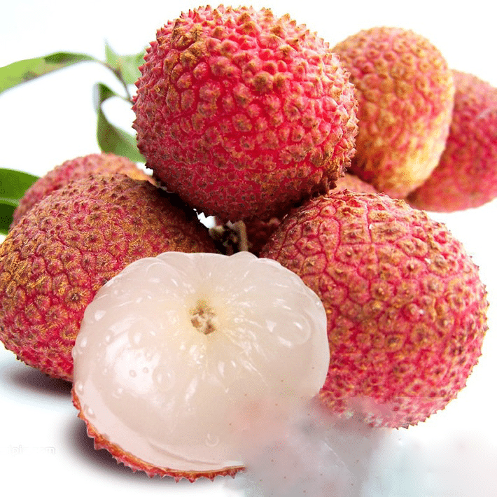 Fruit Nursery Kenya at Daniel Bahena blog