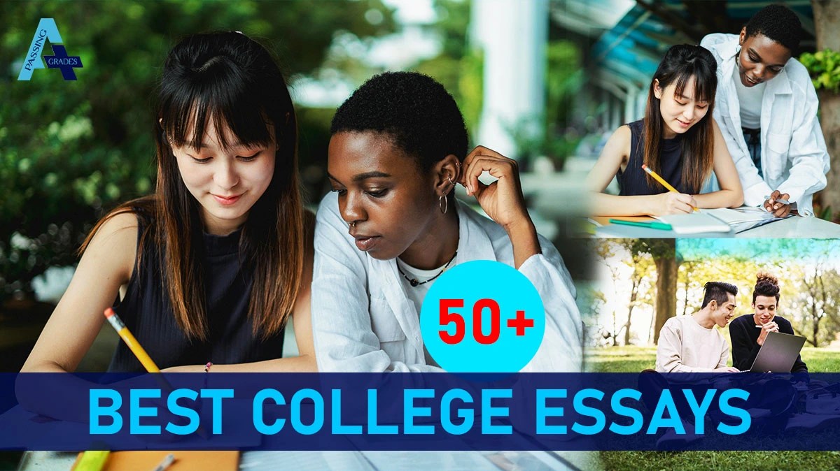 50+ Best College Essays That Got Students Into Top 20 U.S. Universities